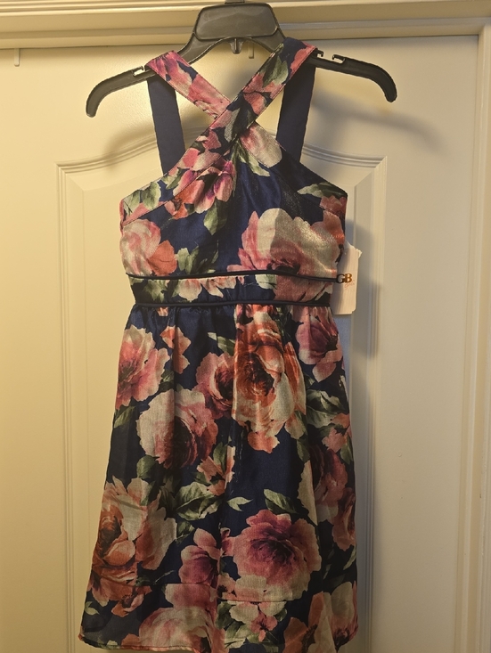 GB girls Other - GB Girls Navy Floral Crossback Dress - Pink & Green Roses